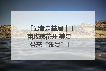 记者走基层｜千亩玫瑰花开 美景带来“钱景”