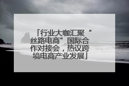 行业大咖汇聚“丝路电商”国际合作对接会，热议跨境电商产业发展