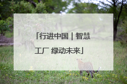 行进中国｜智慧工厂 绿动未来