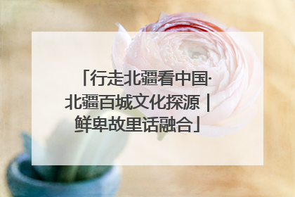 行走北疆看中国·北疆百城文化探源｜鲜卑故里话融合