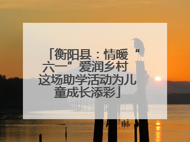 衡阳县：情暖“六一”爱润乡村 这场助学活动为儿童成长添彩