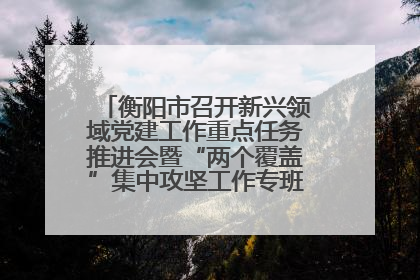 衡阳市召开新兴领域党建工作重点任务推进会暨“两个覆盖”集中攻坚工作专班 第一次会议