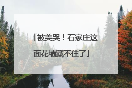 被美哭！石家庄这面花墙藏不住了
