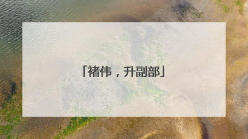 褚伟，升副部