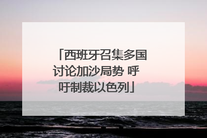 西班牙召集多国讨论加沙局势 呼吁制裁以色列