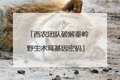 西农团队破解秦岭野生木耳基因密码
