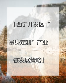 西宁开发区“量身定制”产业链发展策略