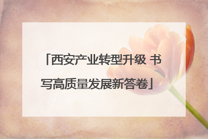 西安产业转型升级 书写高质量发展新答卷