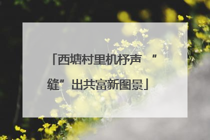 西塘村里机杼声 “缝”出共富新图景