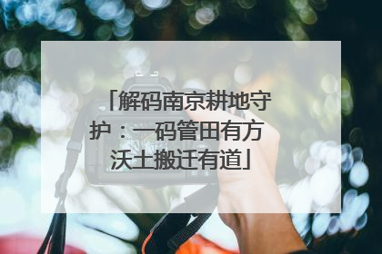 解码南京耕地守护：一码管田有方 沃土搬迁有道
