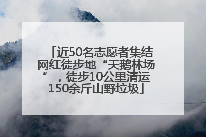 近50名志愿者集结网红徒步地“天鹅林场”，徒步10公里清运150余斤山野垃圾