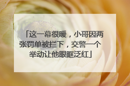 这一幕很暖，小哥因两张罚单被拦下，交警一个举动让他眼眶泛红