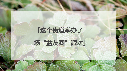 这个街道举办了一场“盆友圈”派对