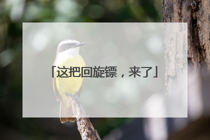 这把回旋镖，来了