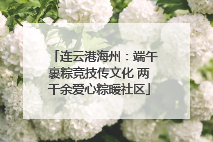 连云港海州：端午裹粽竞技传文化 两千余爱心粽暖社区