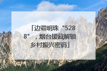 边疆明珠“5288”，烟台援藏解锁乡村振兴密码