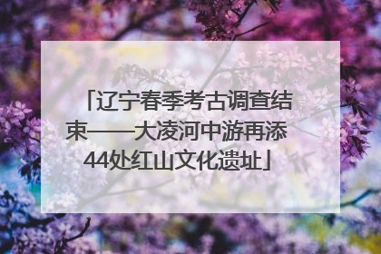 辽宁春季考古调查结束——大凌河中游再添44处红山文化遗址