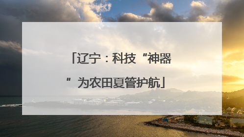 辽宁：科技“神器”为农田夏管护航