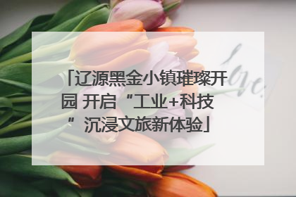 辽源黑金小镇璀璨开园 开启“工业+科技”沉浸文旅新体验