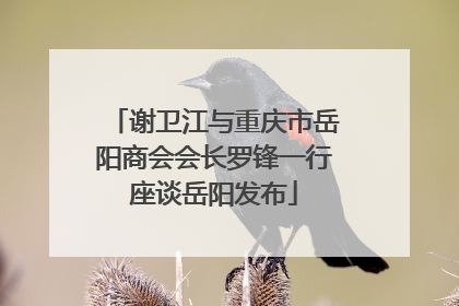 谢卫江与重庆市岳阳商会会长罗锋一行座谈岳阳发布