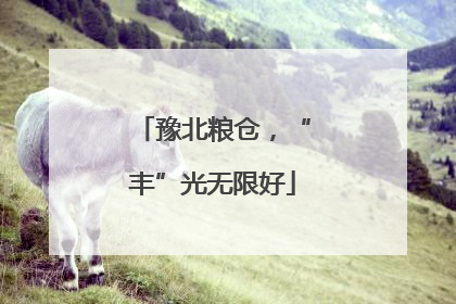 豫北粮仓，“丰”光无限好