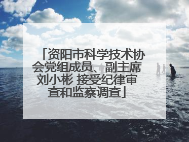 资阳市科学技术协会党组成员、副主席刘小彬 接受纪律审查和监察调查