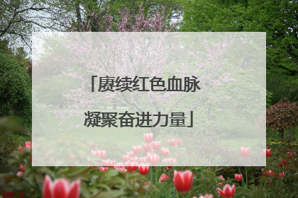 赓续红色血脉 凝聚奋进力量