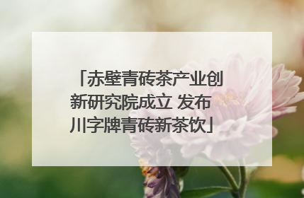 赤壁青砖茶产业创新研究院成立 发布川字牌青砖新茶饮