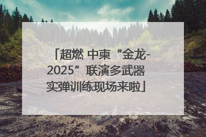 超燃 中柬“金龙-2025”联演多武器实弹训练现场来啦