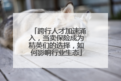 跨行人才加速涌入，当卖保险成为精英们的选择，如何影响行业生态