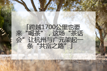 跨越1700公里也要来“喝茶”，这场“茶话会”让杭州与广元架起一条“共富之路”