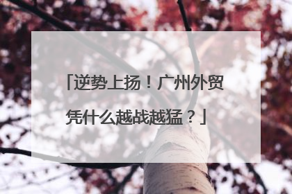 逆势上扬！广州外贸凭什么越战越猛？