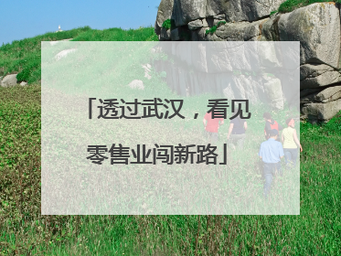 透过武汉，看见零售业闯新路