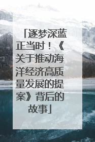逐梦深蓝正当时！《关于推动海洋经济高质量发展的提案》背后的故事