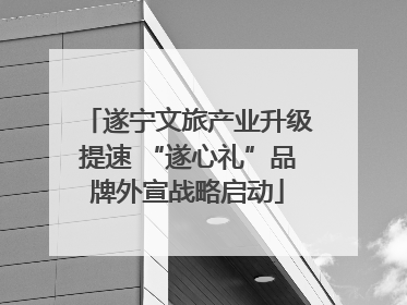 遂宁文旅产业升级提速 “遂心礼”品牌外宣战略启动