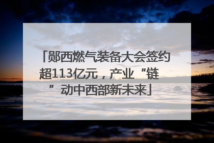 郧西燃气装备大会签约超113亿元，产业“链”动中西部新未来