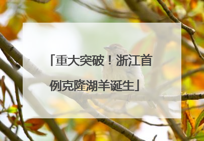 重大突破！浙江首例克隆湖羊诞生