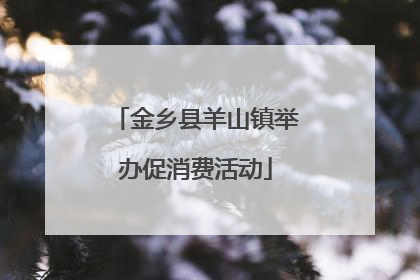 金乡县羊山镇举办促消费活动