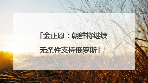 金正恩：朝鲜将继续无条件支持俄罗斯