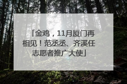 金鸡，11月厦门再相见！范丞丞、齐溪任志愿者推广大使