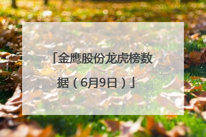 金鹰股份龙虎榜数据（6月9日）