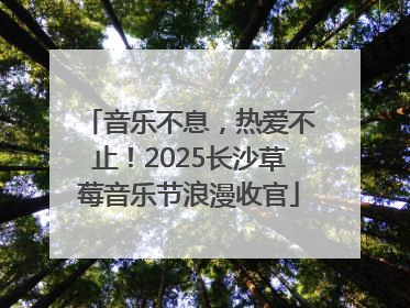 音乐不息，热爱不止！2025长沙草莓音乐节浪漫收官