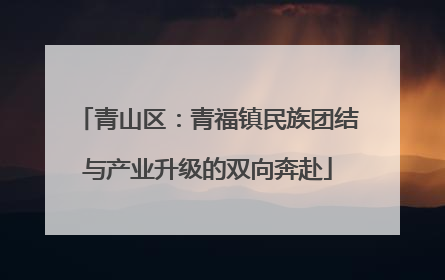 青山区：青福镇民族团结与产业升级的双向奔赴