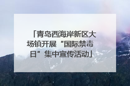 青岛西海岸新区大场镇开展“国际禁毒日”集中宣传活动