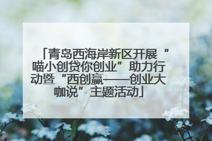 青岛西海岸新区开展“喵小创贷你创业”助力行动暨“西创赢——创业大咖说”主题活动