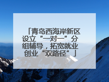 青岛西海岸新区设立“一对一”分组辅导，拓宽就业创业“双路径”