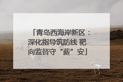 青岛西海岸新区：深化指导筑防线 靶向监督守“薪”安