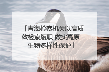 青海检察机关以高质效检察履职 做实高原生物多样性保护