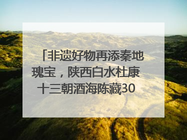 非遗好物再添秦地瑰宝，陕西白水杜康十三朝酒海陈藏30年别具一格