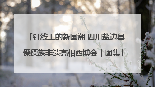 针线上的新国潮 四川盐边县傈僳族非遗亮相西博会｜图集